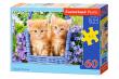 Opakowanie Puzzle 60 Ginger Kittens CASTOR