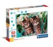 Opakowanie Puzzle 60 Super Kolor Lovely Kitty Twins