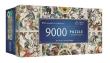 Opakowanie Puzzle 9000 Ancient Celestial Maps TREFL