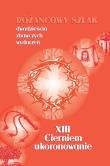Różańcowy szlak... XIII Cierniem ukoronowanie. Autor: ks.Szczepaniec Stanisław. Dadada.pl Okładka książki Różańcowy szlak... XIII Cierniem ukoronowanie