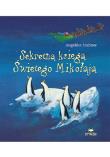 Sekretna księga Świętego Mikołaja. Autor: Angelika Stubner. Dadada.pl Okładka książki Sekretna księga Świętego Mikołaja