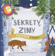Sekrety Zimy. Podświetl i Odkryj. Autor: Carron Brown. Dadada.pl Okładka książki Sekrety Zimy. Podświetl i Odkryj