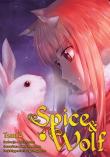 Spice and Wolf. Tom 14. Autor: Keito Koume, Isuna Hasekura. Dadada.pl Okładka książki Spice and Wolf. Tom 14