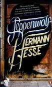 Steppenwolf. Autor: Hermann Hesse. Dadada.pl Okładka książki Steppenwolf