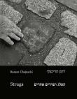 Okładka książki Struga