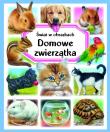 Świat w obrazkach. Domowe zwierzątka. Autor: Beaumont Emilie, Reinig Patricia. Dadada.pl Okładka książki Świat w obrazkach. Domowe zwierzątka