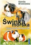 Świnka morska nasz mały przyjaciel. Autor: Brodowska Kamila. Dadada.pl Okładka książki Świnka morska nasz mały przyjaciel