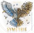 Symetrie. Zdumiewający świat niezwykłych harmonii. Autor: Kerby Rosanes, Dorota Lachowicz. Dadada.pl Okładka książki Symetrie. Zdumiewający świat niezwykłych harmonii