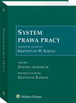System Prawa Pracy. Tom XIII.. Autor: Krzysztof Ślebzak (red.), Krzystof W. Baran. Dadada.pl Okładka książki System Prawa Pracy. Tom XIII.