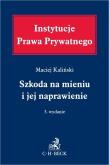 Szkoda na mieniu i jej naprawienie w.3. Autor: Kaliński Maciej. Dadada.pl Okładka książki Szkoda na mieniu i jej naprawienie w.3