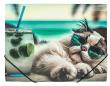 Opakowanie Teczka A4 PP na gumkę z nadrukiem Chillout Cat