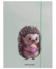 Opakowanie Teczka A4 z gumką Jeżyk