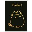 Opakowanie Teczka A4 z gumką Pusheen Gold paczka 10 szt.