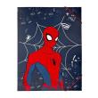 Opakowanie Teczka A4 Zamykana Na Gumki Spiderman
