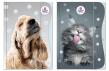 Opakowanie Teczka z gumką A4 The Sweet Pets
