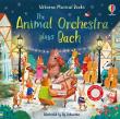 The Animal Orchestra plays Bach. Autor: Taplin Sam, Ag Jatkowska. Dadada.pl Okładka książki The Animal Orchestra plays Bach