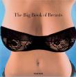 The Big Book of Breasts. Autor: Hanson Dian. Dadada.pl Okładka książki The Big Book of Breasts