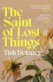 The Saint of Lost Things. Autor: Delaney Tish. Dadada.pl Okładka książki The Saint of Lost Things