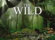 The Wild. Autor: Martin   Claudia. Dadada.pl Okładka książki The Wild