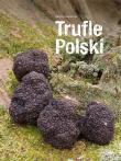 Trufle Polski. Autor: Krzyszczyk Tomasz. Dadada.pl Okładka książki Trufle Polski