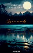 Uczucie prawdy. Autor: Karolina Wasielewska. Dadada.pl Okładka książki Uczucie prawdy