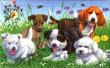 Opakowanie Układanka Szczeniaki 9 elementów