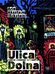 Ulica Dolna. Autor: Arie Aksztajn (Eckstein). Dadada.pl Okładka książki Ulica Dolna