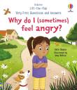Very First Questions and Answers: Why do I (sometimes) feel angry?. Autor: Katie Daynes. Dadada.pl Okładka książki Very First Questions and Answers: Why do I (sometimes) feel angry?