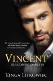Vincent. Autor: Kinga Litkowiec. Dadada.pl Okładka książki Vincent