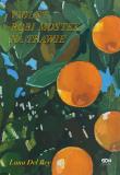 Violet robi mostek na trawie w.2. Autor: Lana Del Rey, Anna Gralak. Dadada.pl Okładka książki Violet robi mostek na trawie w.2