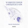 W gąszczu chmur chrząszcze z gór. Autor: Szafrański Maciej. Dadada.pl Okładka książki W gąszczu chmur chrząszcze z gór