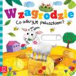 W zagrodzie. Co odkryję paluszkiem?. Autor: Grażyna Wasilewicz. Dadada.pl Okładka książki W zagrodzie. Co odkryję paluszkiem?