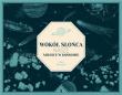 Wokół słońca. Nasze miejsce w kosmosie. Autor: Antonio Hales, Bestard Aina. Dadada.pl Okładka książki Wokół słońca. Nasze miejsce w kosmosie