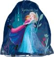 Opakowanie  Worek na obuwie Frozen DF22CF-712 Paso