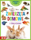 Wszystko wiem! Zwierzęta domowe. Autor: brak autora. Dadada.pl Okładka książki Wszystko wiem! Zwierzęta domowe