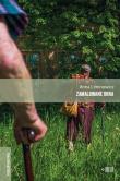 Zamalowane okna. Autor: Anna Limanowicz. Dadada.pl Okładka książki Zamalowane okna