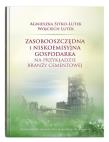 Zasobooszczędna i niskoemisyjna gospodarka na przykładzie branży cementowej. Autor: Sitko-Lutek Agnieszka, Wojciech Lutek. Dadada.pl Okładka książki Zasobooszczędna i niskoemisyjna gospodarka na przykładzie branży cementowej