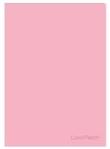 Opakowanie Zeszyt A4 PP 60k kratka Coolpack pastel powder pink
