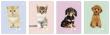 Opakowanie Zeszyt A5 16 k. 3-linie Puppy Sign, Interdruk