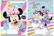 Opakowanie Zeszyt A5/16K linia Minnie Mouse (20szt)