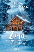 Zima w zapomnianym schronisku. Autor: Julia Furmaniak. Dadada.pl Okładka książki Zima w zapomnianym schronisku