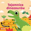 Znajdź mnie! Tajemnice dinozaurów. Autor:   Praca zbiorowa. Dadada.pl Okładka książki Znajdź mnie! Tajemnice dinozaurów