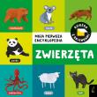 Zwierzęta. Moja pierwsza encyklopedia. Książka z okienkami. Autor: Opracowanie zbiorowe. Dadada.pl Okładka książki Zwierzęta. Moja pierwsza encyklopedia. Książka z okienkami