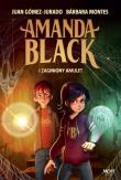 Amanda Black i zaginiony amulet. Autor: Gómez-Jurado Juan, Montes Barbara. Dadada.pl Okładka książki Amanda Black i zaginiony amulet