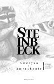 Okładka książki Ameryka i Amerykanie