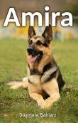 Okładka książki Amira