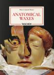 Okładka książki Anatomical Waxes. 45th Ed.