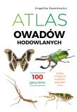 Atlas owadów hodowlanych. 100 gatunków. Autor: Angelika Dawidowicz. Dadada.pl Okładka książki Atlas owadów hodowlanych. 100 gatunków
