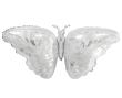 Opakowanie Balon foliowy Srebrny Motyl 87x44cm