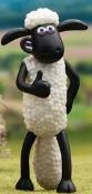 Opakowanie Baranek Shaun